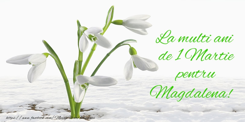 Felicitari de 1 Martie - Ghiocei | La multi ani de 1 Martie pentru Magdalena!