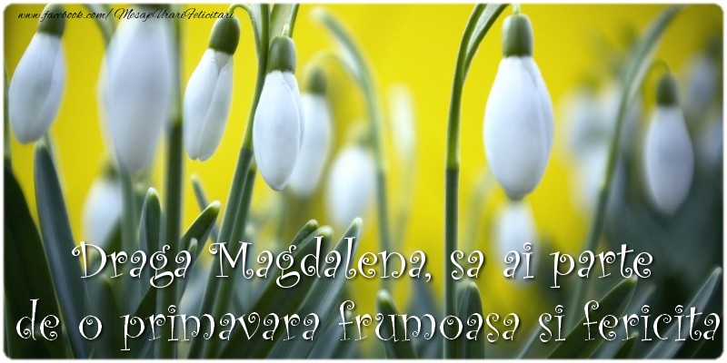 Felicitari de 1 Martie - Ghiocei | Draga Magdalena, sa ai parte de o primavara frumoasa si fericita