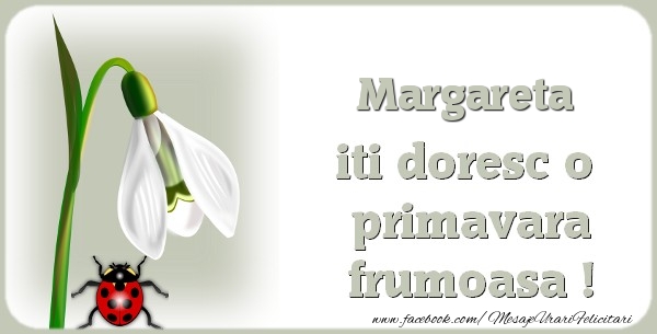 Felicitari de 1 Martie - Ghiocei | Margareta iti doresc o primavara frumoasa