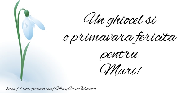Felicitari de 1 Martie - Ghiocei | Un ghiocel si o primavara fericita pentru Mari!