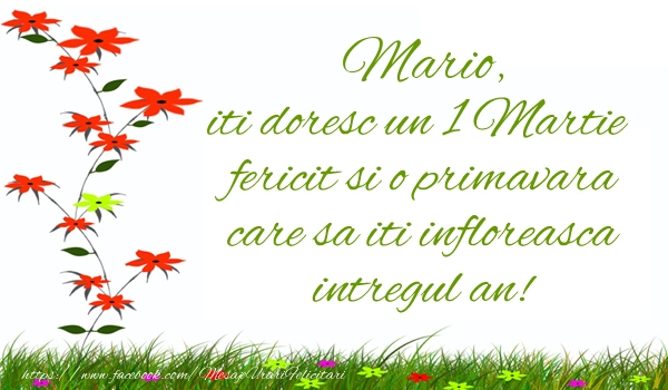 Felicitari de 1 Martie - Mario iti doresc un 1 Martie  fericit si o primavara care sa iti infloreasca intregul an!