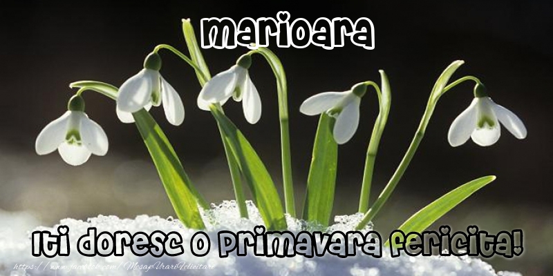 Felicitari de 1 Martie - Ghiocei | Marioara Iti doresc o primavara fericita!