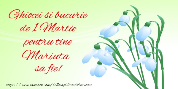 Felicitari de 1 Martie -  Ghiocei si bucurie de 1 Martie pentru tine Mariuta sa fie!