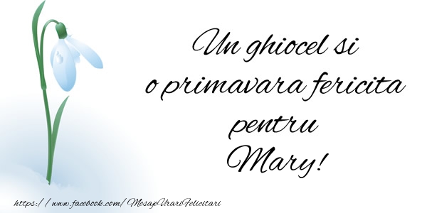 Felicitari de 1 Martie - Ghiocei | Un ghiocel si o primavara fericita pentru Mary!