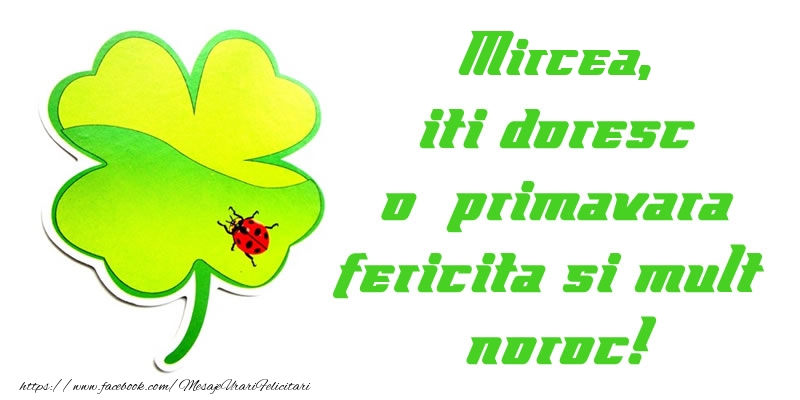 Felicitari de 1 Martie - Trifoi | Mircea iti doresc o primavara fericita si mult noroc!