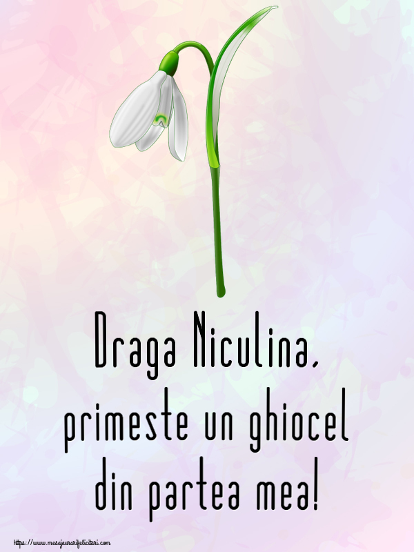 Felicitari de 1 Martie - Ghiocei | Draga Niculina, primeste un ghiocel din partea mea!