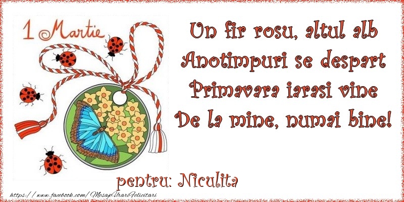 Felicitari de 1 Martie - Buburuză & Flori & Fluturi & Martisor | Un fir rosu, altul alb ... Pentru Niculita!