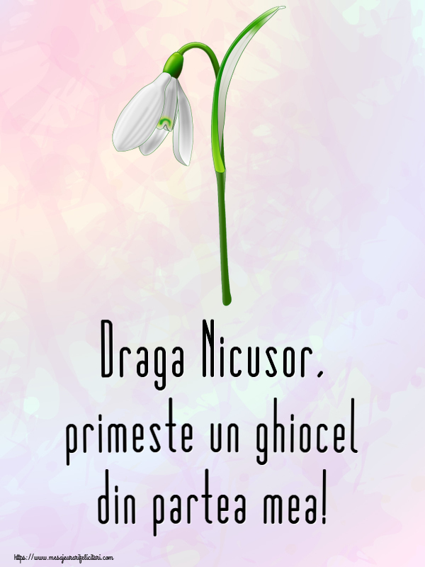 Felicitari de 1 Martie - Ghiocei | Draga Nicusor, primeste un ghiocel din partea mea!