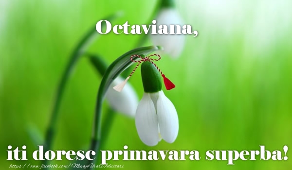 Felicitari de 1 Martie - Octaviana iti doresc primavara superba!