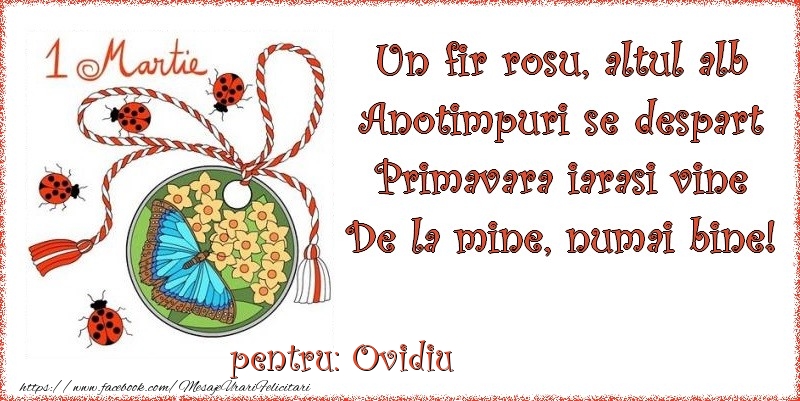 Felicitari de 1 Martie - Buburuză & Flori & Fluturi & Martisor | Un fir rosu, altul alb ... Pentru Ovidiu!