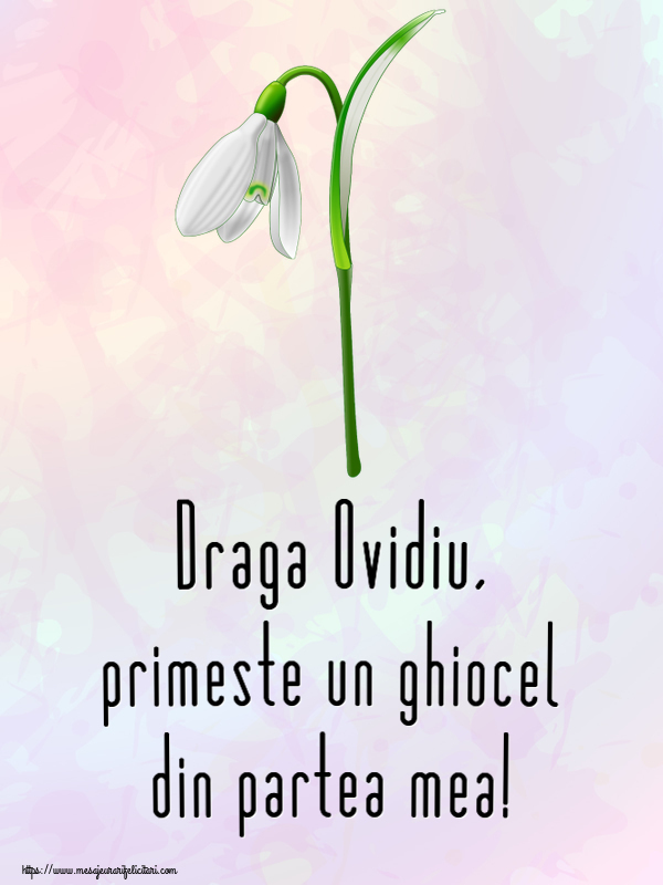 Felicitari de 1 Martie - Ghiocei | Draga Ovidiu, primeste un ghiocel din partea mea!
