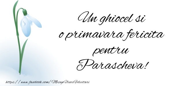 Felicitari de 1 Martie - Un ghiocel si o primavara fericita pentru Parascheva!