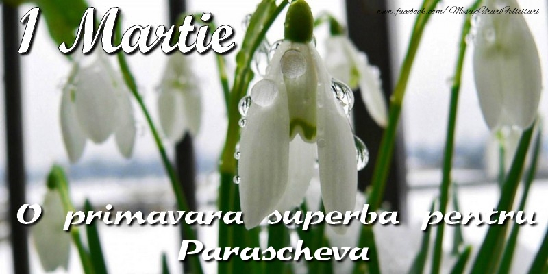 Felicitari de 1 Martie - Ghiocei | O primavara superba pentru Parascheva