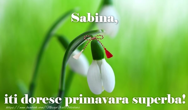 Felicitari de 1 Martie - Ghiocei | Sabina iti doresc primavara superba!