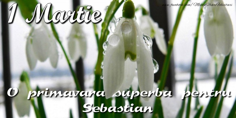 Felicitari de 1 Martie - Ghiocei | O primavara superba pentru Sebastian