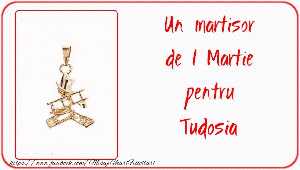 Felicitari de 1 Martie -  Un martisor pentru Tudosia