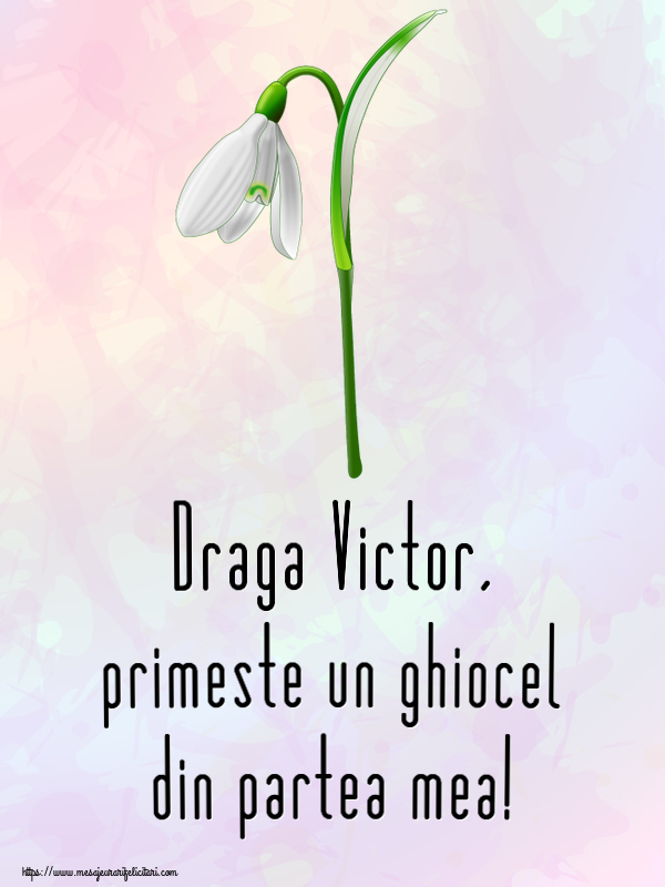 Felicitari de 1 Martie - Ghiocei | Draga Victor, primeste un ghiocel din partea mea!