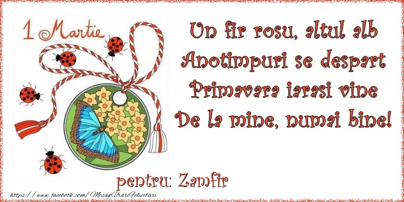 Felicitari de 1 Martie - Buburuză & Flori & Fluturi & Martisor | Un fir rosu, altul alb ... Pentru Zamfir!