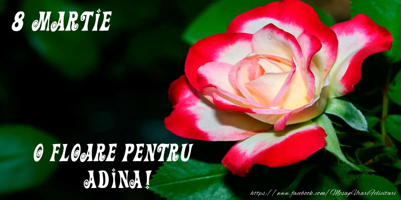Felicitari de 8 Martie - Trandafiri | O floare pentru Adina!