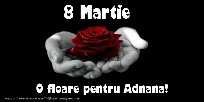Felicitari de 8 Martie - Trandafiri | 8 Martie O floare pentru Adnana!