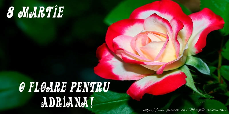 Felicitari de 8 Martie - Trandafiri | O floare pentru Adriana!