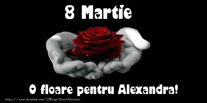 Felicitari de 8 Martie - Trandafiri | 8 Martie O floare pentru Alexandra!