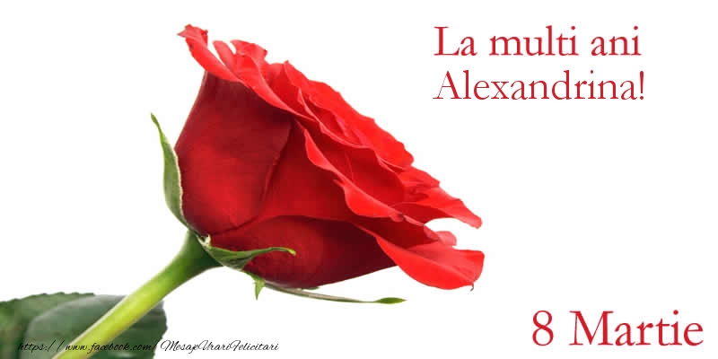Felicitari de 8 Martie - Trandafiri | La multi ani Alexandrina! 8 Martie