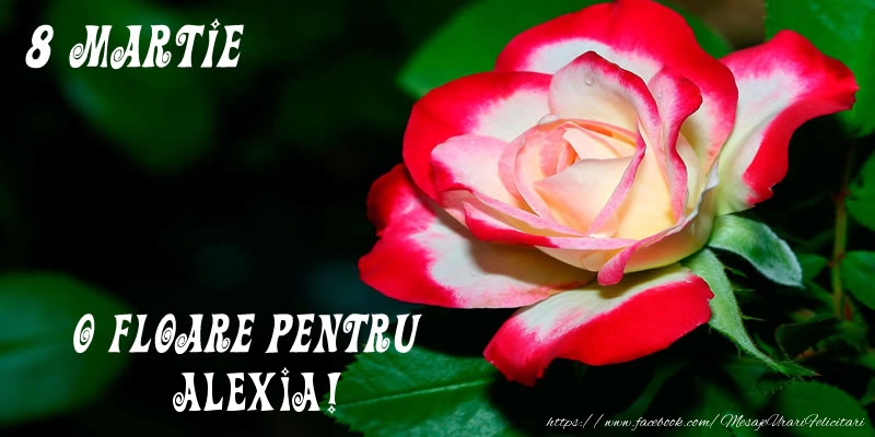 Felicitari de 8 Martie - Trandafiri | O floare pentru Alexia!