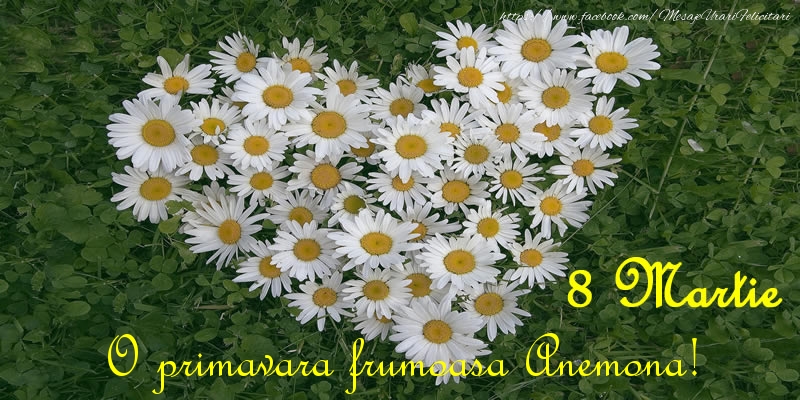 Felicitari de 8 Martie - Flori | O primavara frumoasa Anemona! 8 Martie