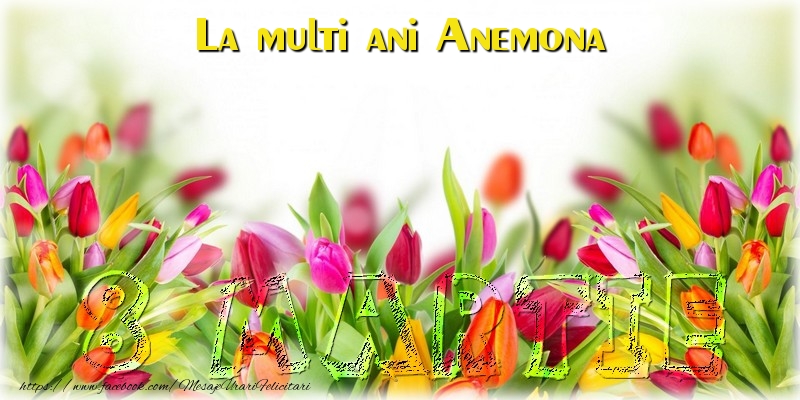 Felicitari de 8 Martie - Flori | La multi ani Anemona