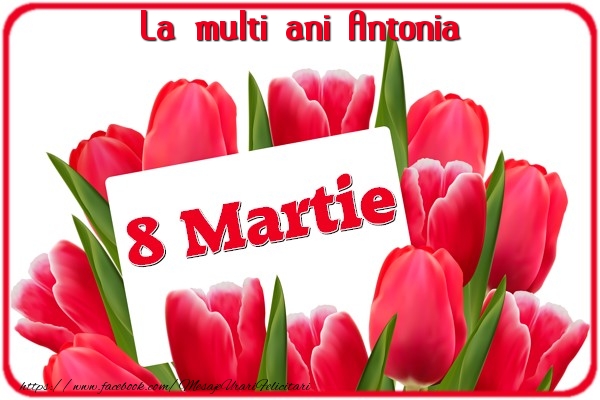 Felicitari de 8 Martie - Lalele | La multi ani Antonia