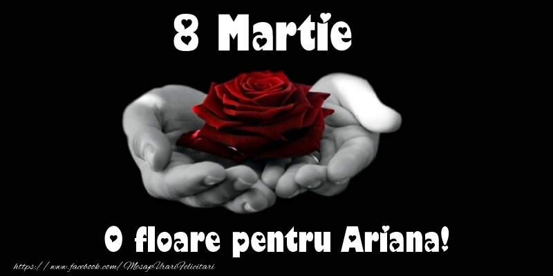 Felicitari de 8 Martie - Trandafiri | 8 Martie O floare pentru Ariana!