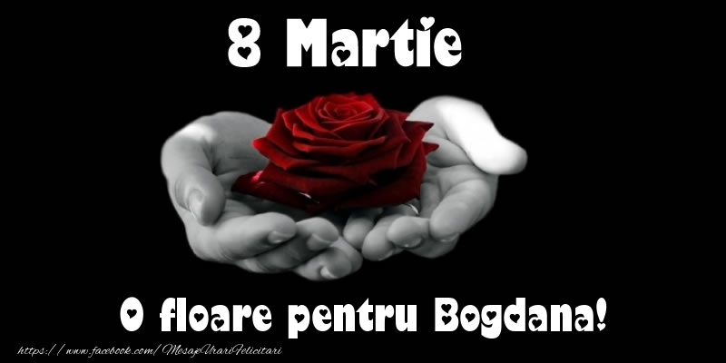Felicitari de 8 Martie - Trandafiri | 8 Martie O floare pentru Bogdana!