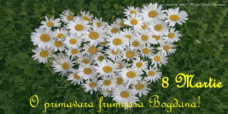 Felicitari de 8 Martie - Flori | O primavara frumoasa Bogdana! 8 Martie