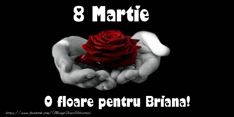 Felicitari de 8 Martie - Trandafiri | 8 Martie O floare pentru Briana!