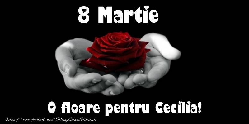 Felicitari de 8 Martie - Trandafiri | 8 Martie O floare pentru Cecilia!
