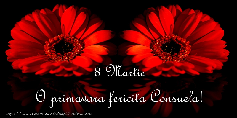 Felicitari de 8 Martie - Flori | O primavara fericita Consuela!