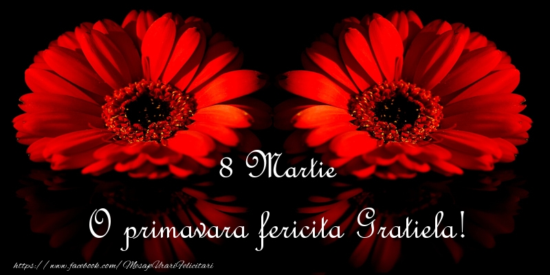 Felicitari de 8 Martie - Flori | O primavara fericita Gratiela!