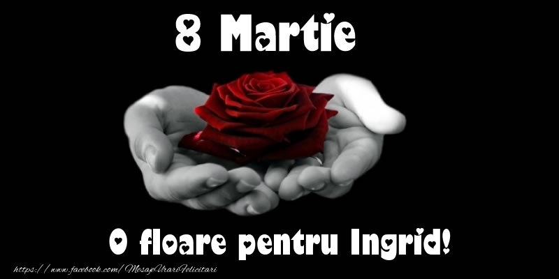 Felicitari de 8 Martie - Trandafiri | 8 Martie O floare pentru Ingrid!