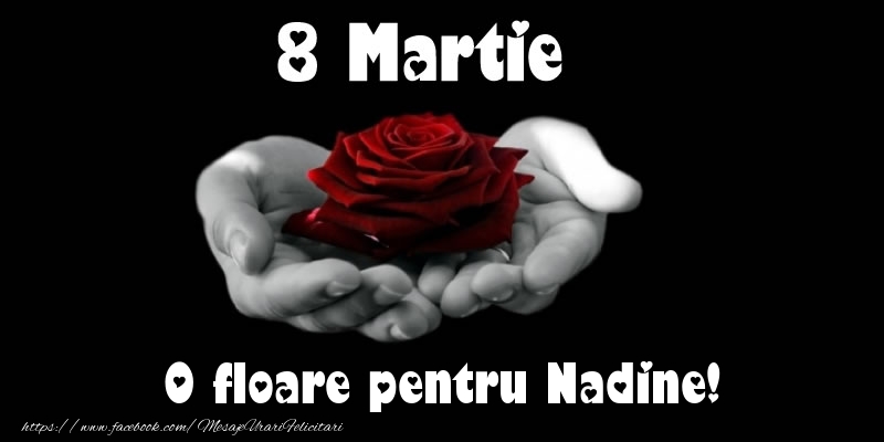 Felicitari de 8 Martie - 8 Martie O floare pentru Nadine!