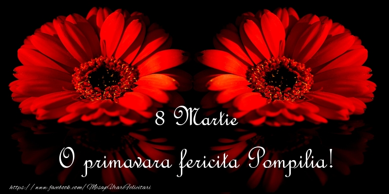 Felicitari de 8 Martie - Flori | O primavara fericita Pompilia!