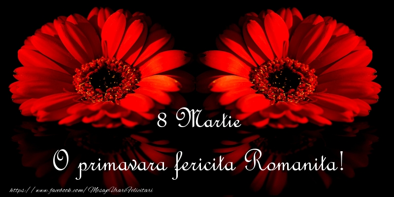 Felicitari de 8 Martie - O primavara fericita Romanita!