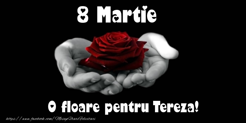 Felicitari de 8 Martie - Trandafiri | 8 Martie O floare pentru Tereza!