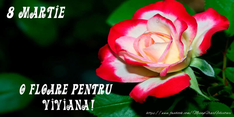 Felicitari de 8 Martie - Trandafiri | O floare pentru Viviana!