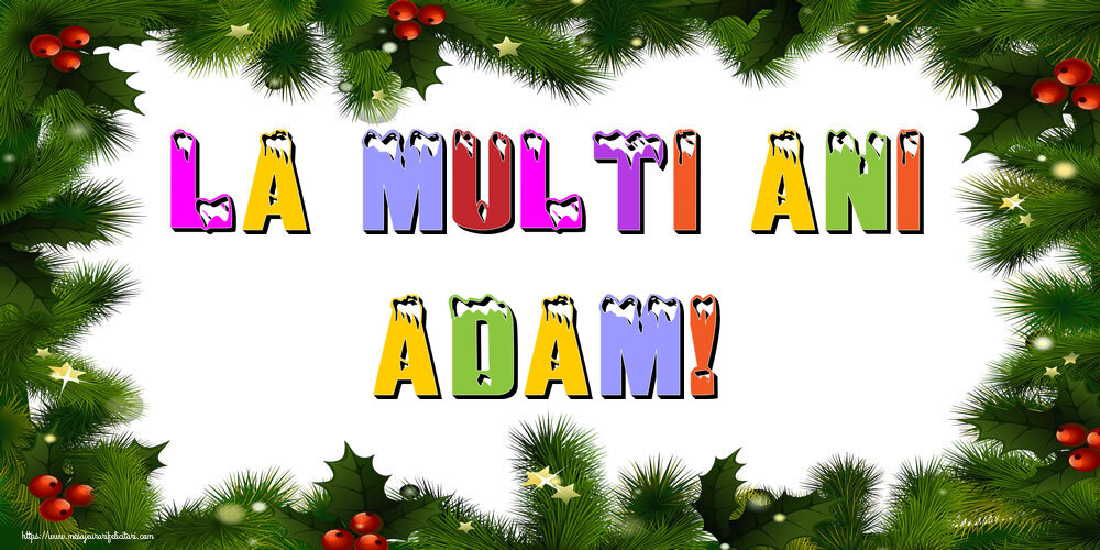 Felicitari de Anul Nou - La multi ani Adam!