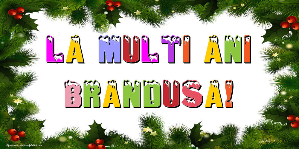 Felicitari de Anul Nou - La multi ani Brandusa!
