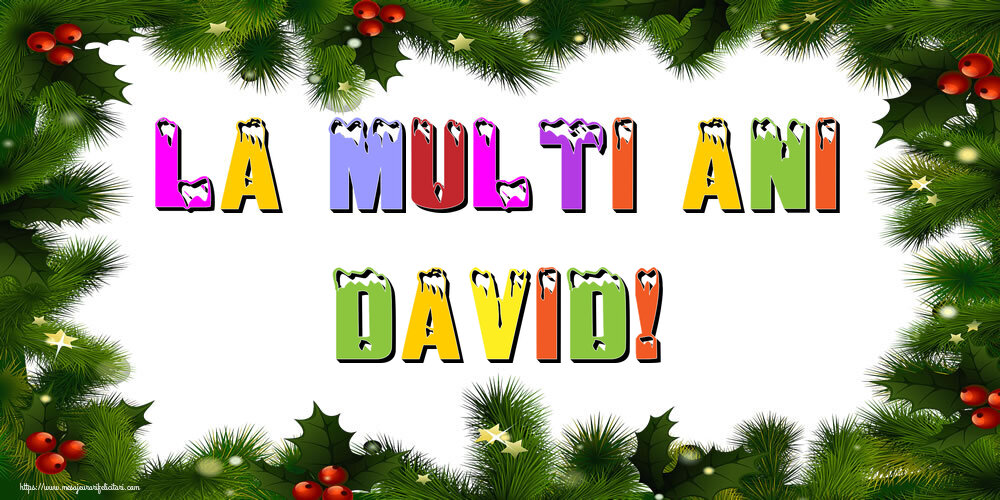  Felicitari de Anul Nou - Brazi | La multi ani David!