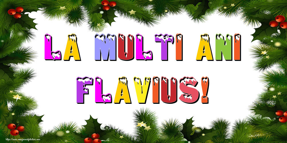 Felicitari de Anul Nou - La multi ani Flavius!