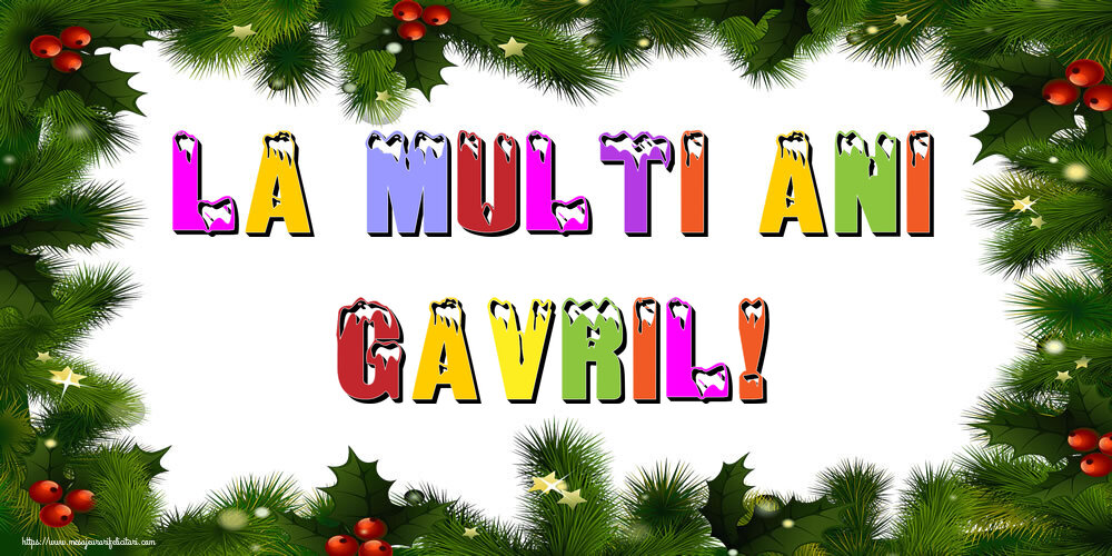 Felicitari de Anul Nou - La multi ani Gavril!