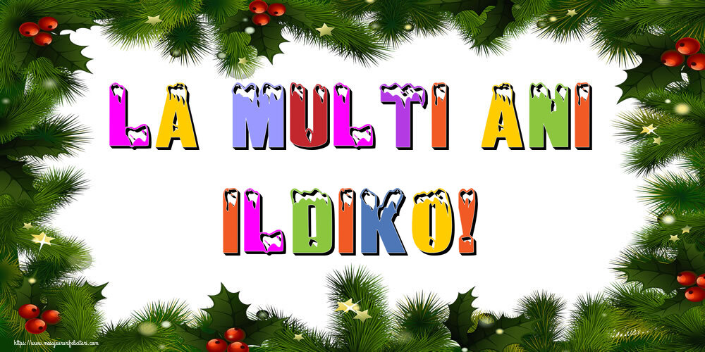 Felicitari de Anul Nou - La multi ani Ildiko!